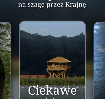 Screenshot_2018-12-20-18-16-04.jpg